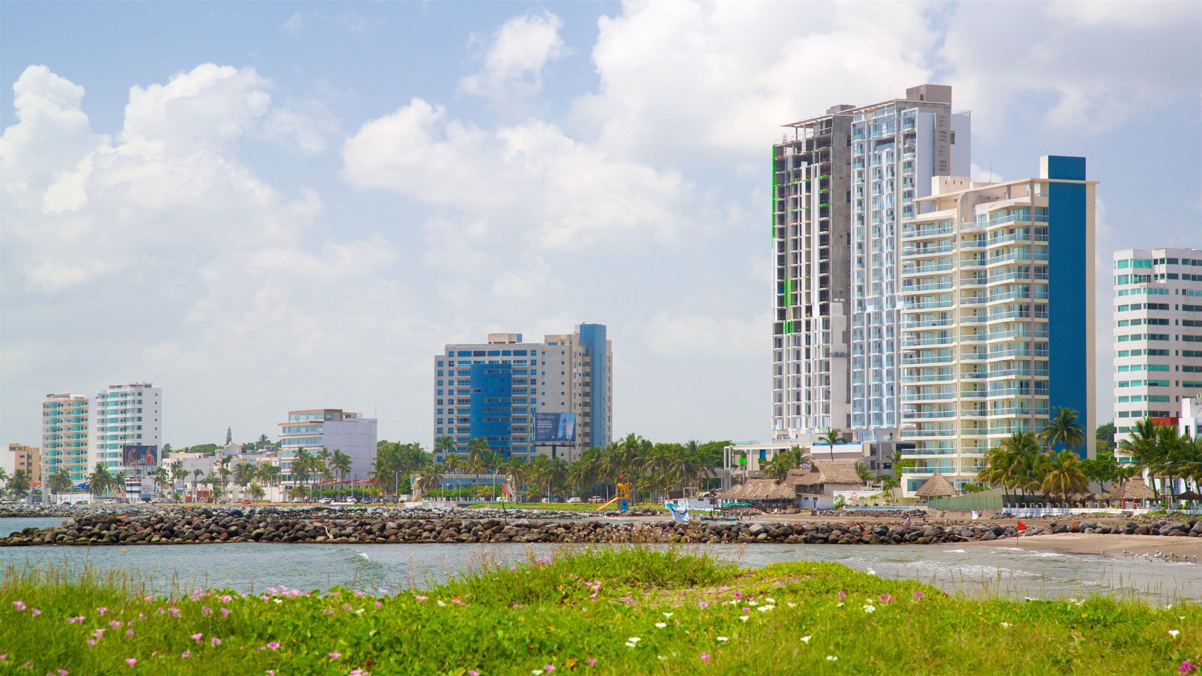 Playa de Mocambo que incluye flores silvestres, una ciudad y vista general a la costa