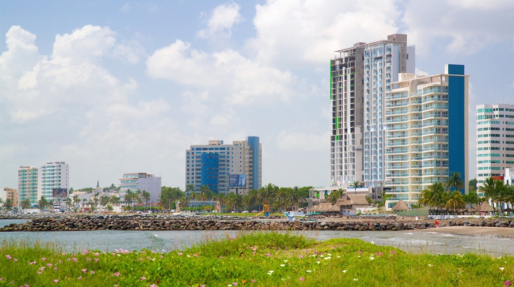 Mocambo Beach which includes a city, wildflowers and general coastal views