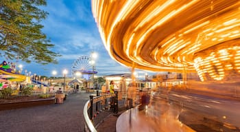 Jolly Roger Amusement Park which includes night scenes and rides