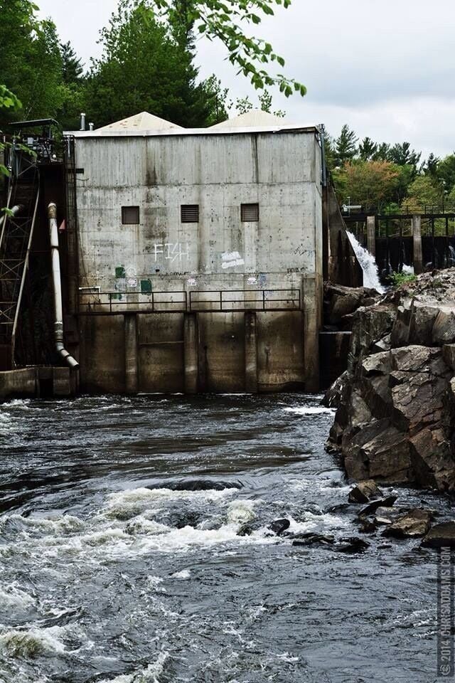 An unexpected find while hiking along the river.