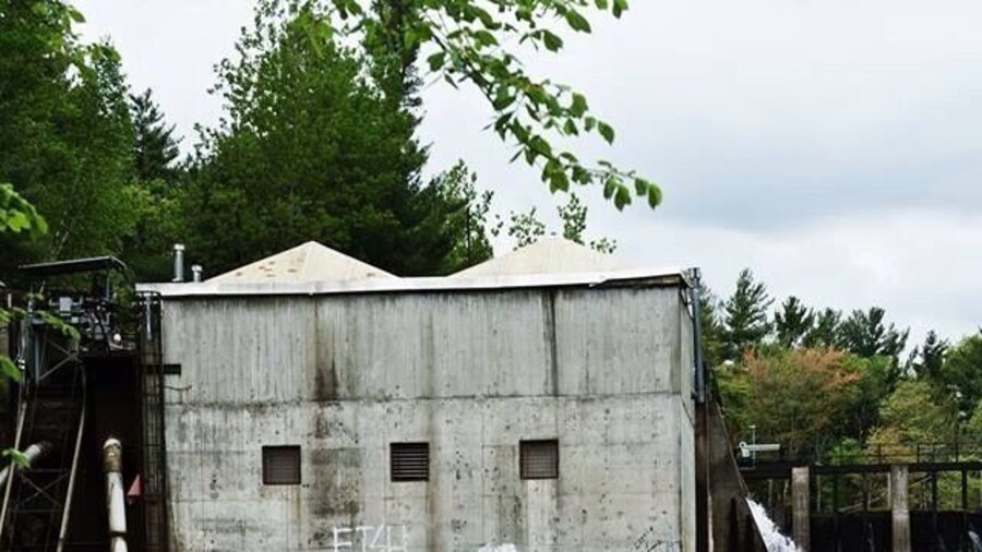 An unexpected find while hiking along the river.