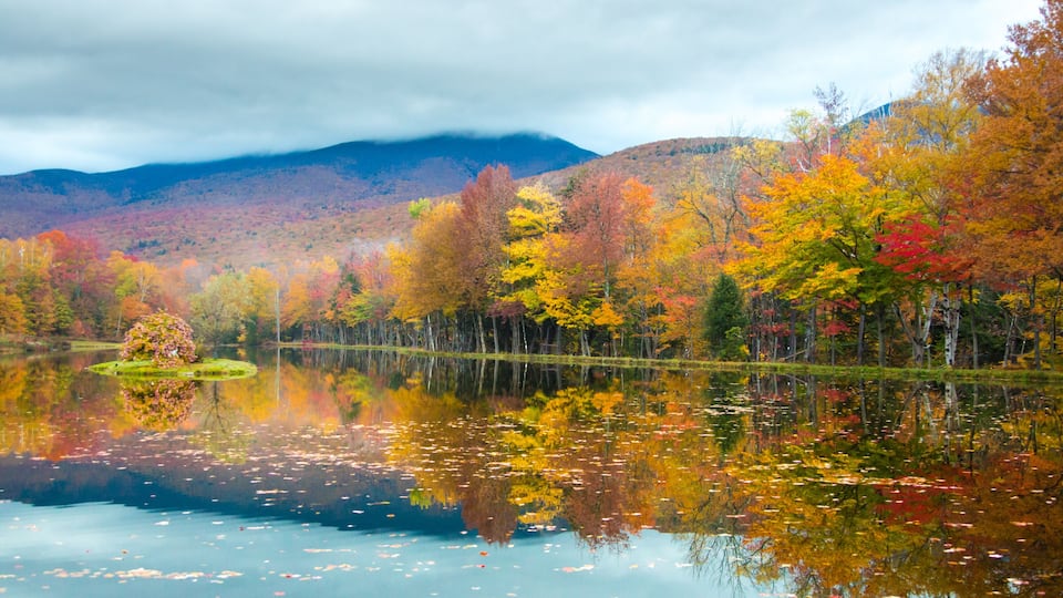 A hardwood forest at peak fall color reflects in Shadow Lake, north of Lincoln, New Hampshire, White Mountain National Forest.