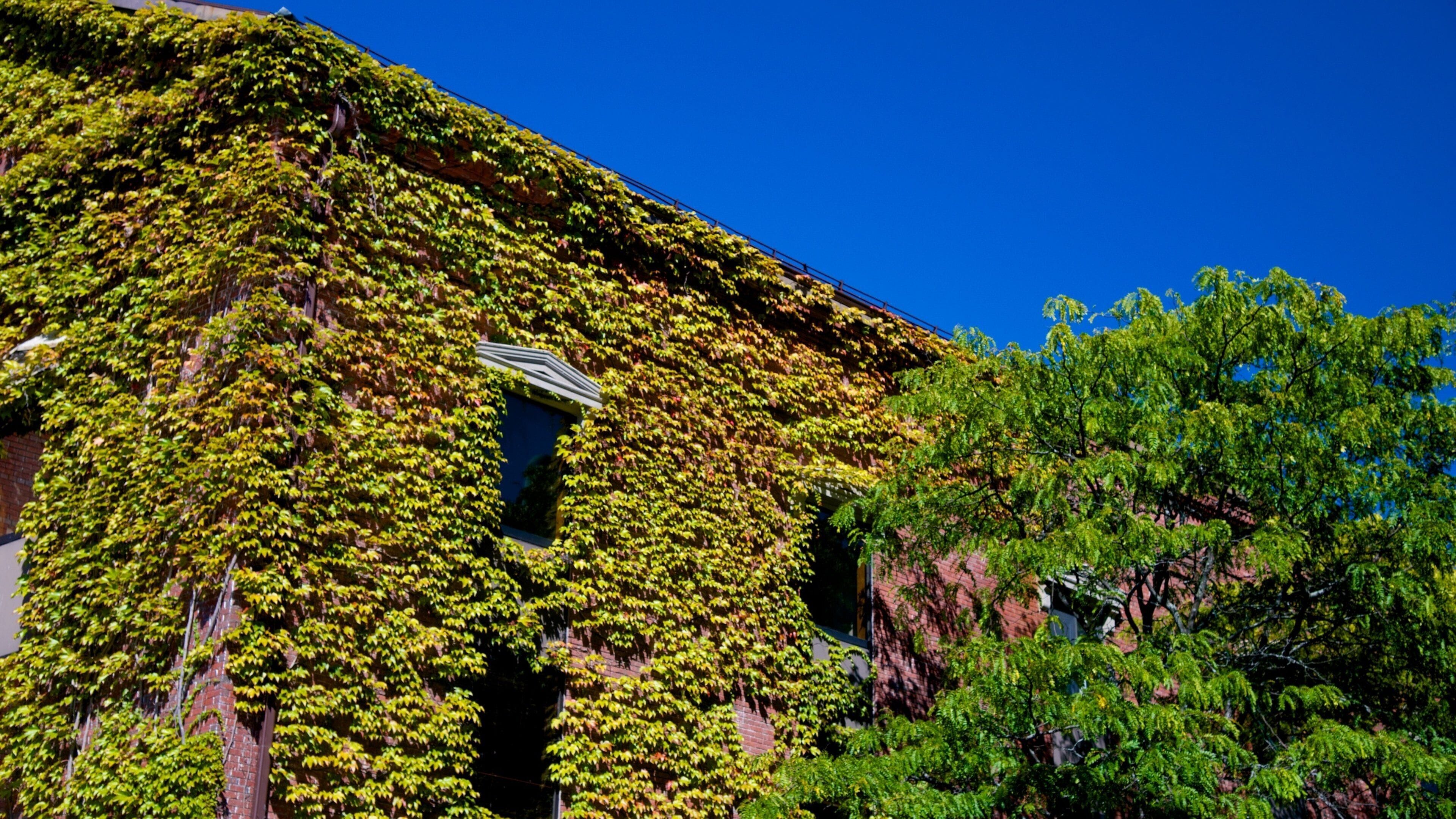 Nashua featuring a house