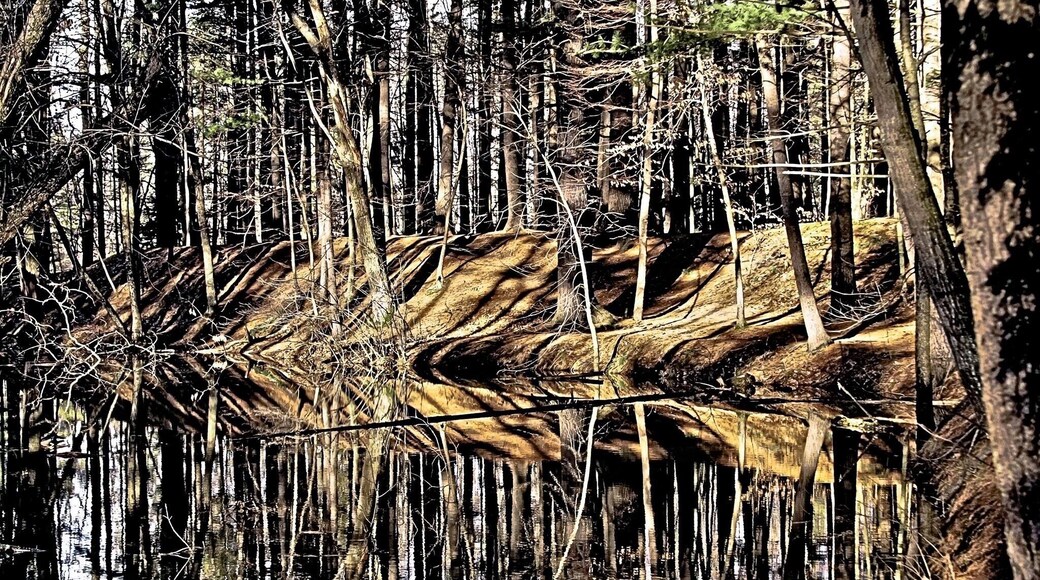 Tiger Stripes in Mine Falls during the late fall/early winter.