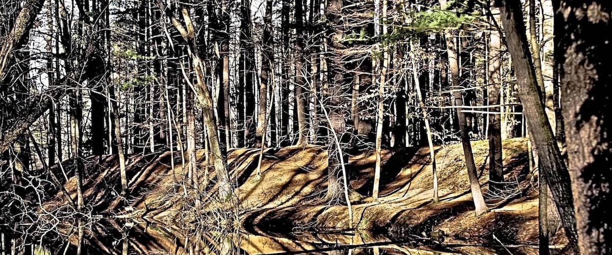 Tiger Stripes in Mine Falls during the late fall/early winter.