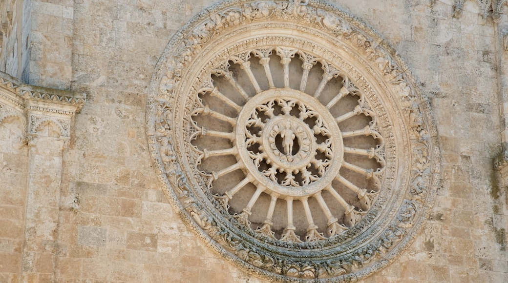 Ostuni Cathedral showing heritage architecture