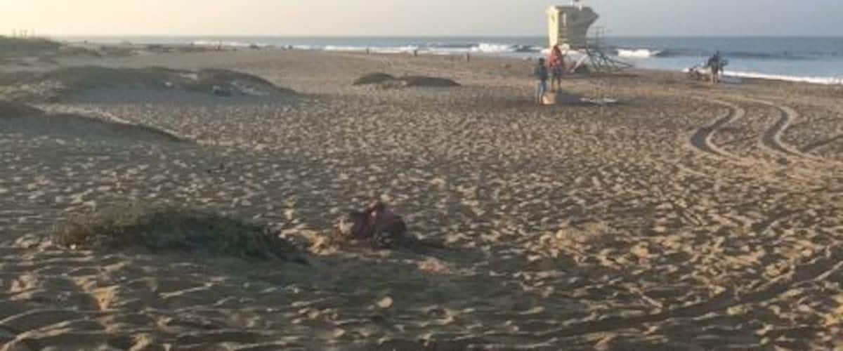 Great surf spot. Must get here at 6am to park off of the freeway within walking distance. Surfers can be territorial, so just be courteous. Steady flow of decent waves so all but first timers can do really well here.