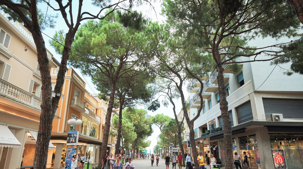 Riccione_VialeCeccarini_6167043_10