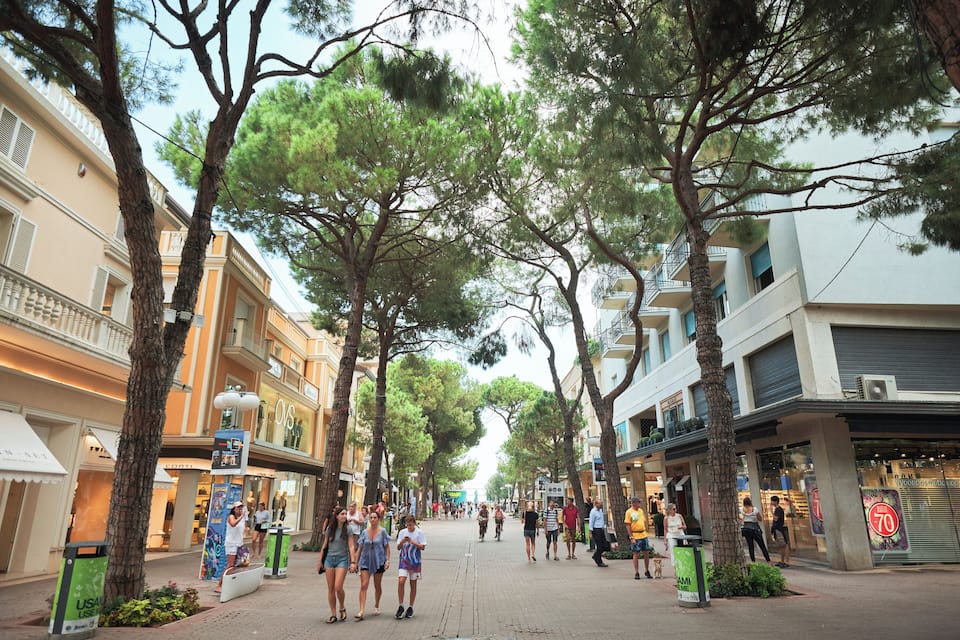Een winkelstraat met bomen, boetiekjes en cafés.