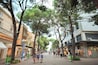 Una calle peatonal bordeada de árboles, con tiendas y cafeterías.