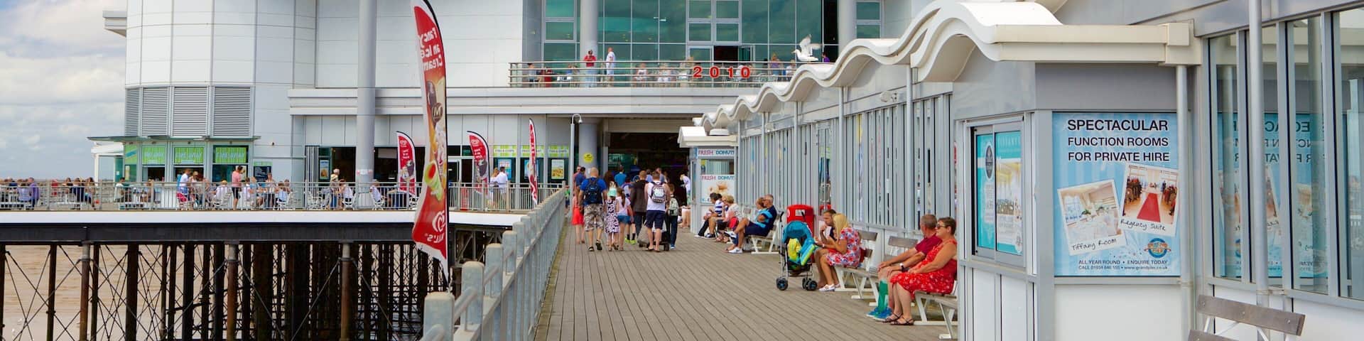 The Grand Pier which includes general coastal views and views