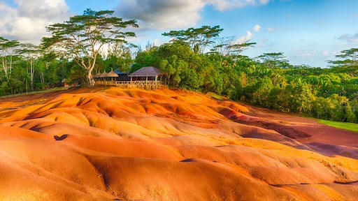 Chamarel