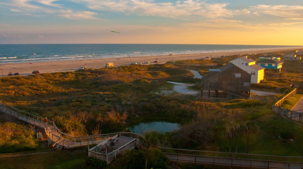 Beach houses with sun setting behind with mist
