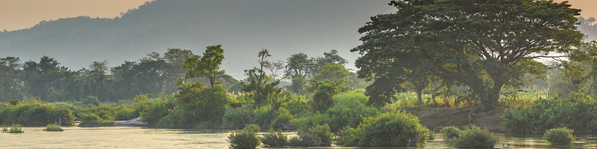 Um rio com vegetação ao redor e montanhas ao longe.