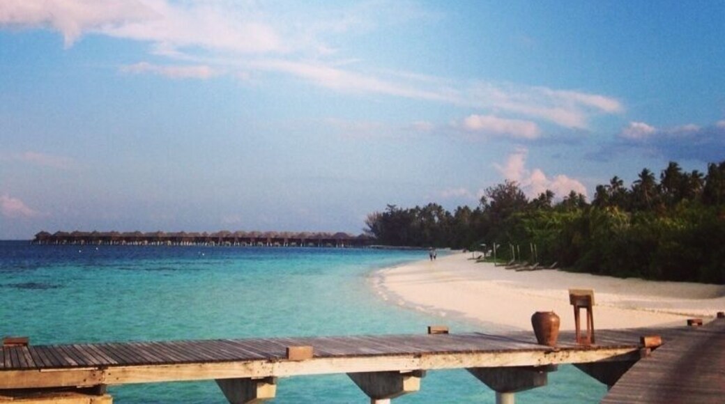 #maldives #waterbungalow #island #paradise #beach #sea