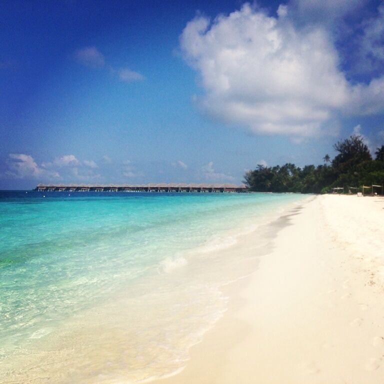 #paradise #island #beach #maldives #waterbungalow #sea 