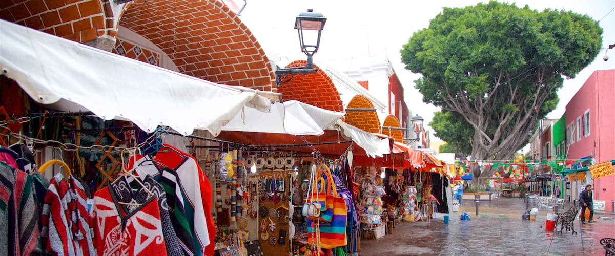 Barrio del Artista mostrando mercados