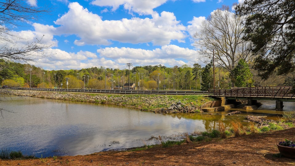 A calm lake with a wooden bridge, surrounded by trees and a clear sky.