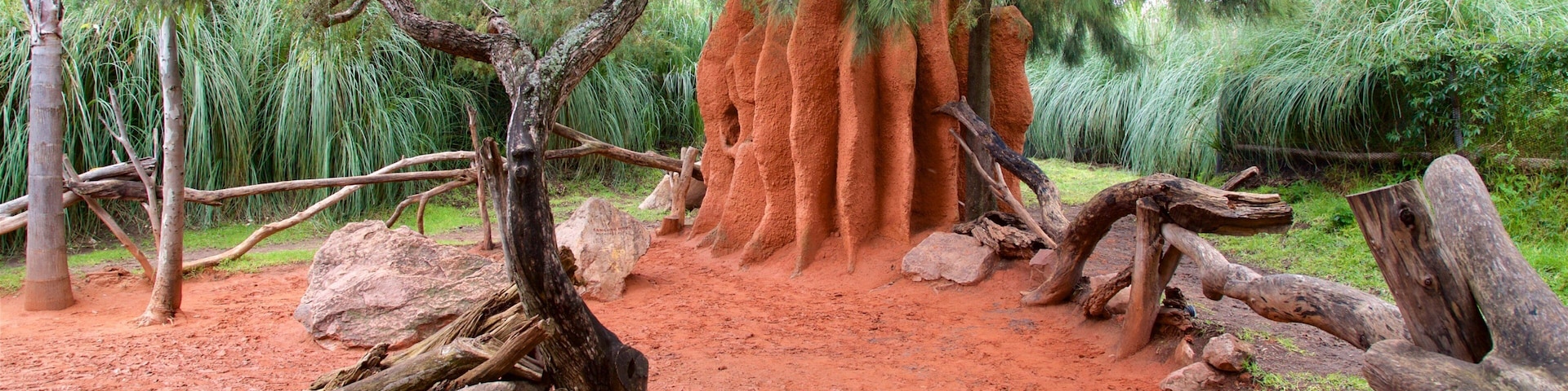 Africam Safari which includes tranquil scenes