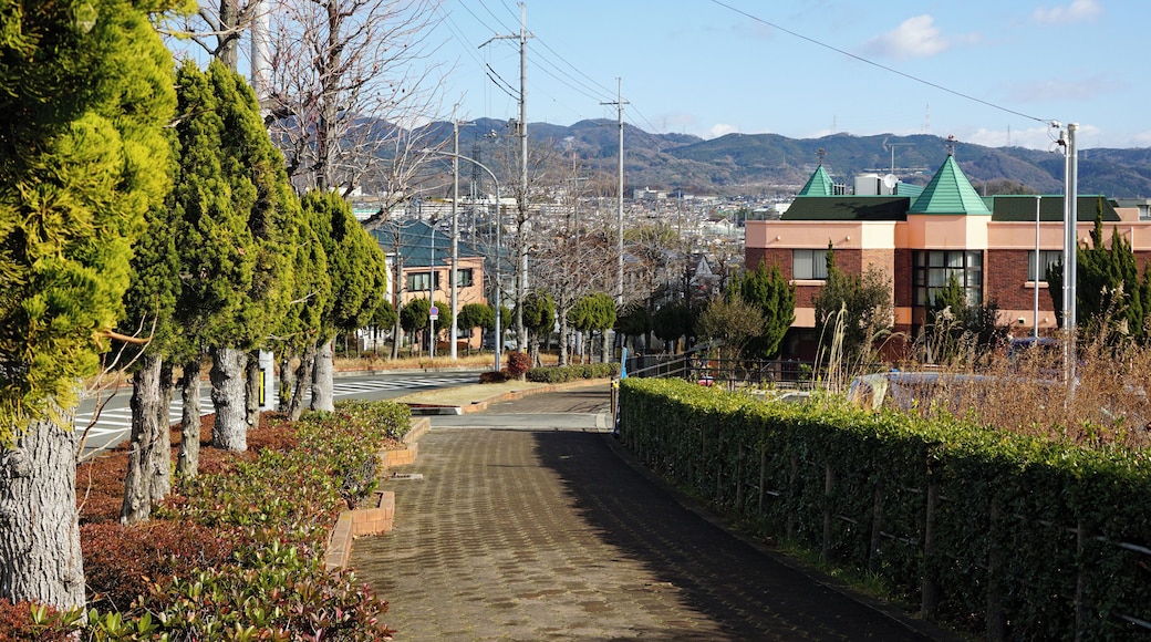 At Nanpeidai 5-chome, Takatsuki, Osaka prefecture, Japan.