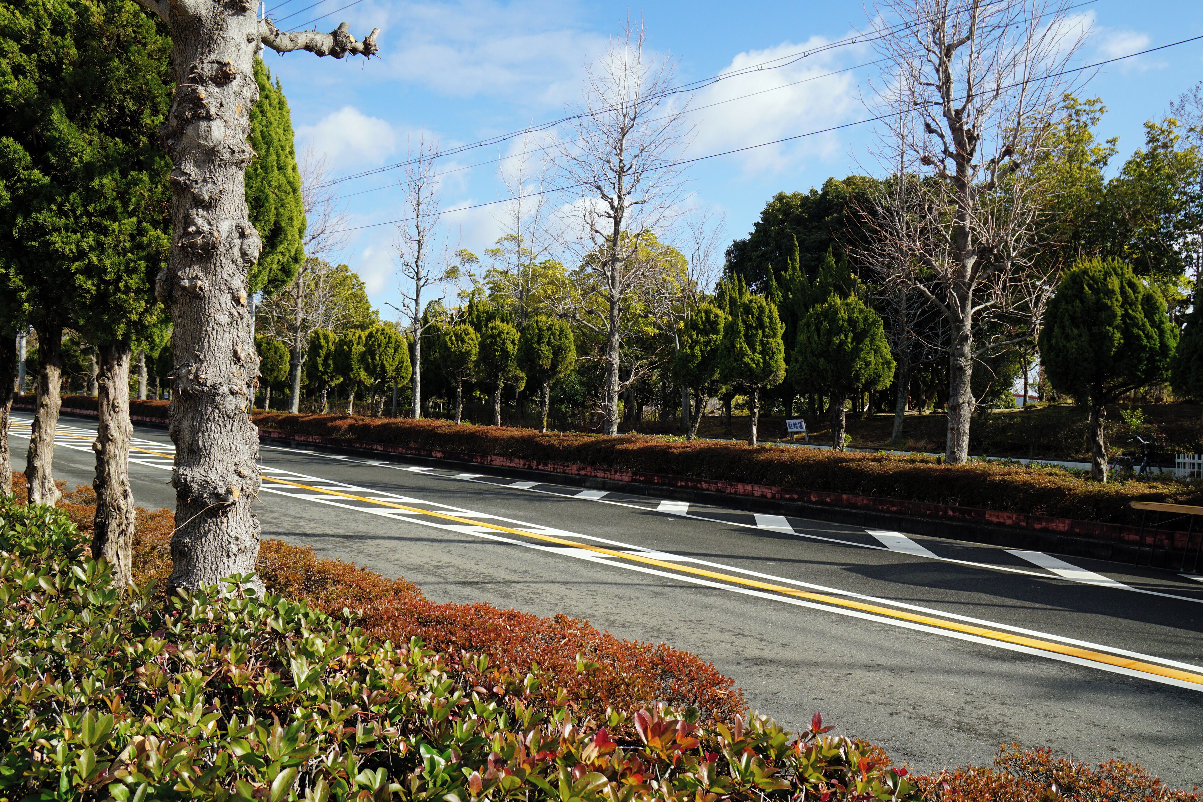 At Nanpeidai 5-chome, Takatsuki, Osaka prefecture, Japan.