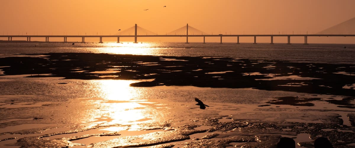 Bandra-Worli Sea Link featuring a bridge, a river or creek and a sunset