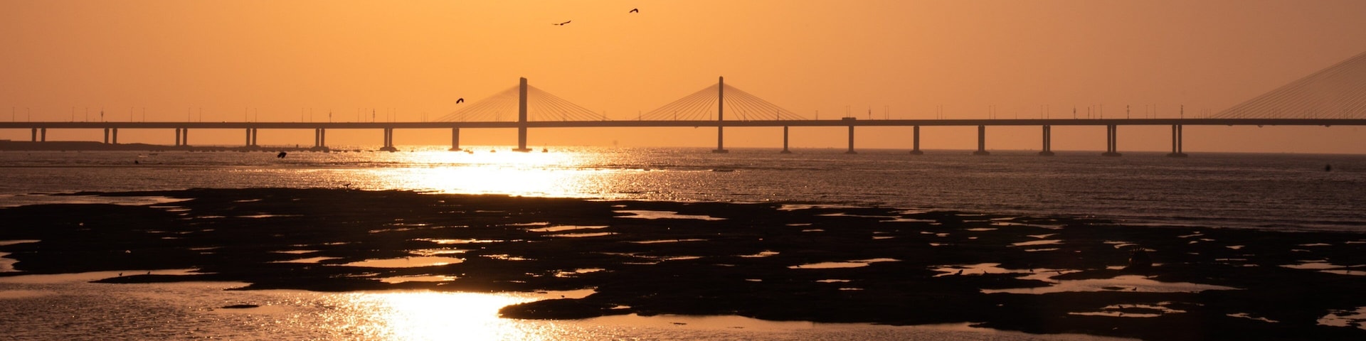 Bandra-Worli Sea Link featuring a bridge, a river or creek and a sunset