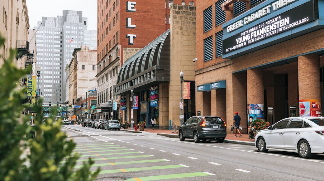 Cultural District