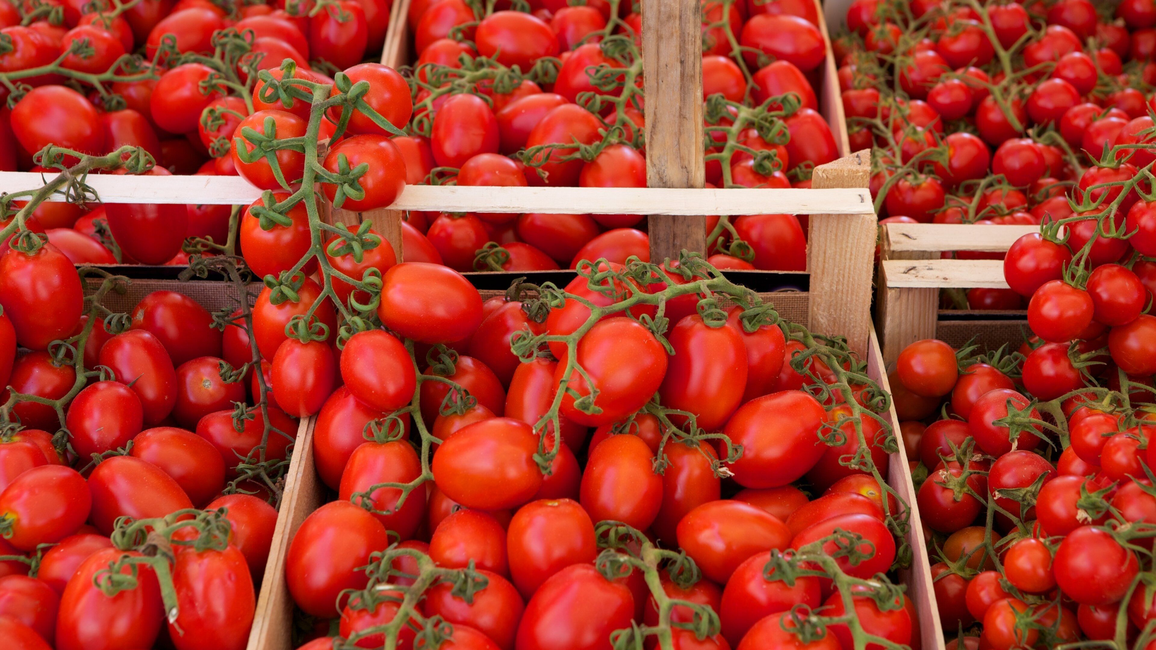 Ballaro Market which includes markets and food