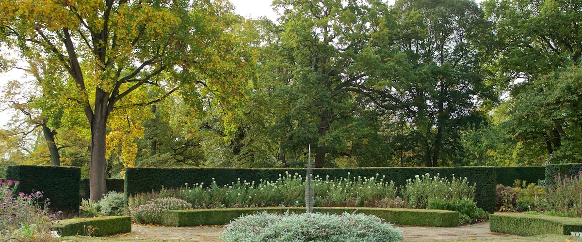 Savill Garden showing a garden