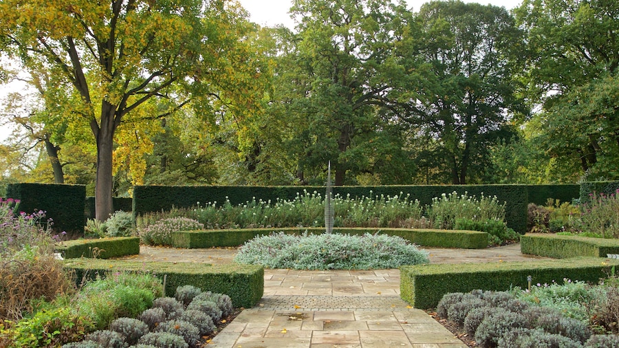 Savill Garden showing a garden
