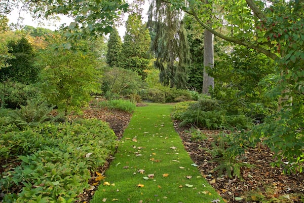 A lush garden with a well-maintained lawn, various shrubs, and trees.