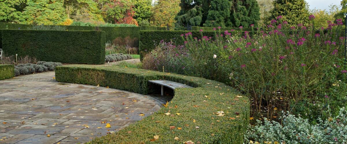 Savill Garden featuring a park and wild flowers