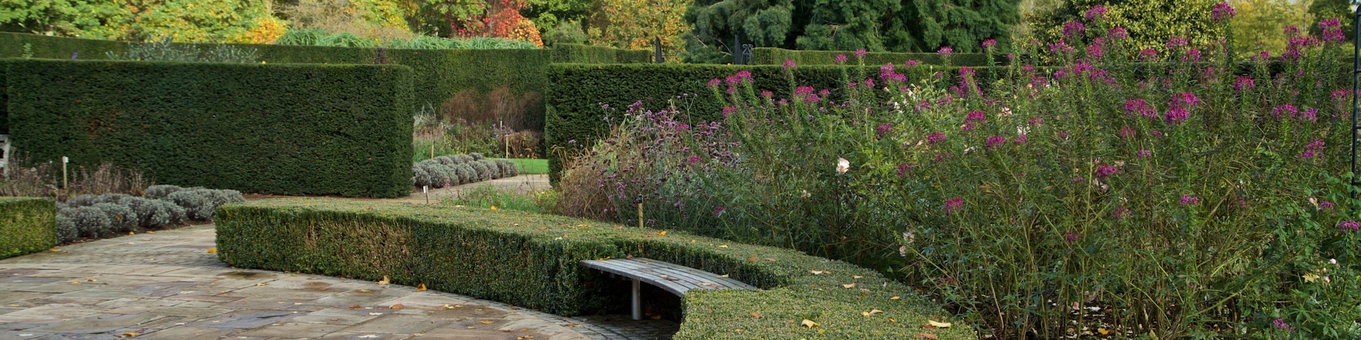 Jardines Savill mostrando un parque y flores salvajes