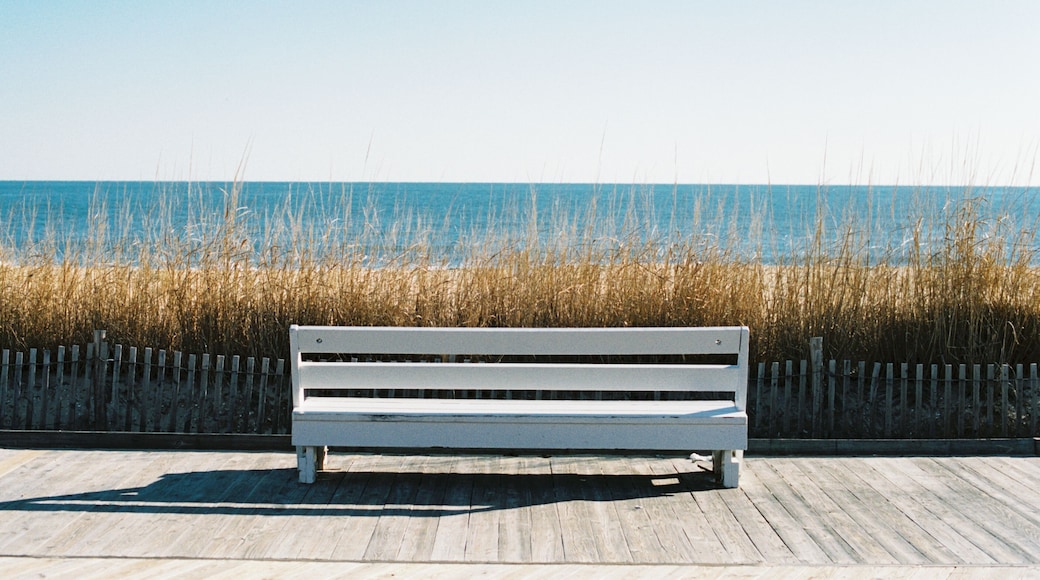 beach bench