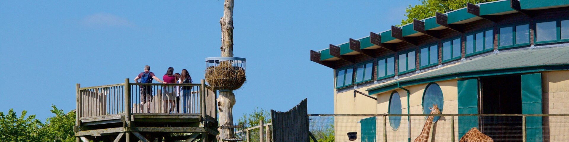 Marwell Wildlife featuring zoo animals as well as a small group of people