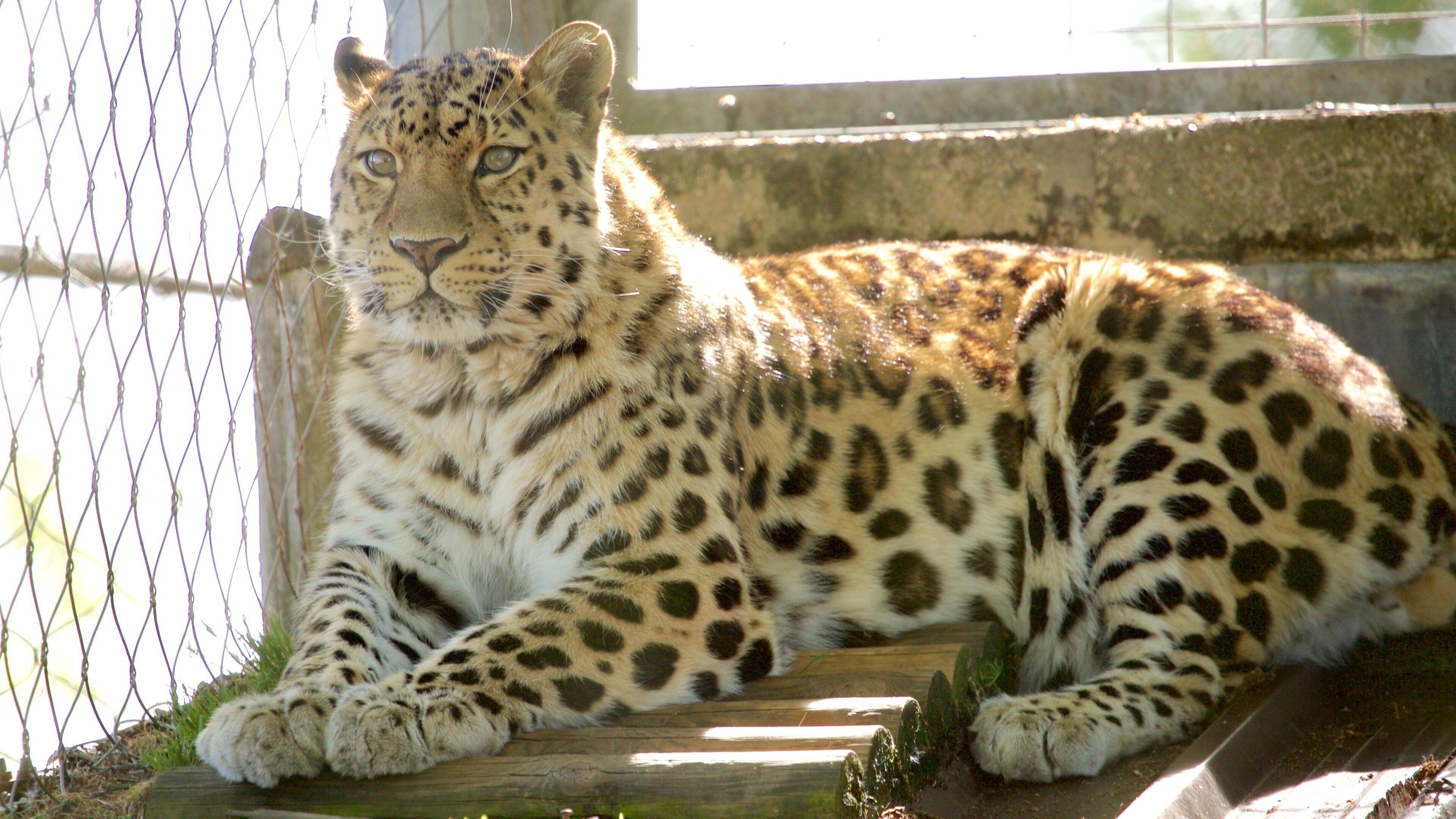 Marwell Wildlife which includes zoo animals and dangerous animals