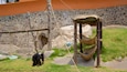 Zacango Zoo som omfatter dyr og dyr fra zoologisk have