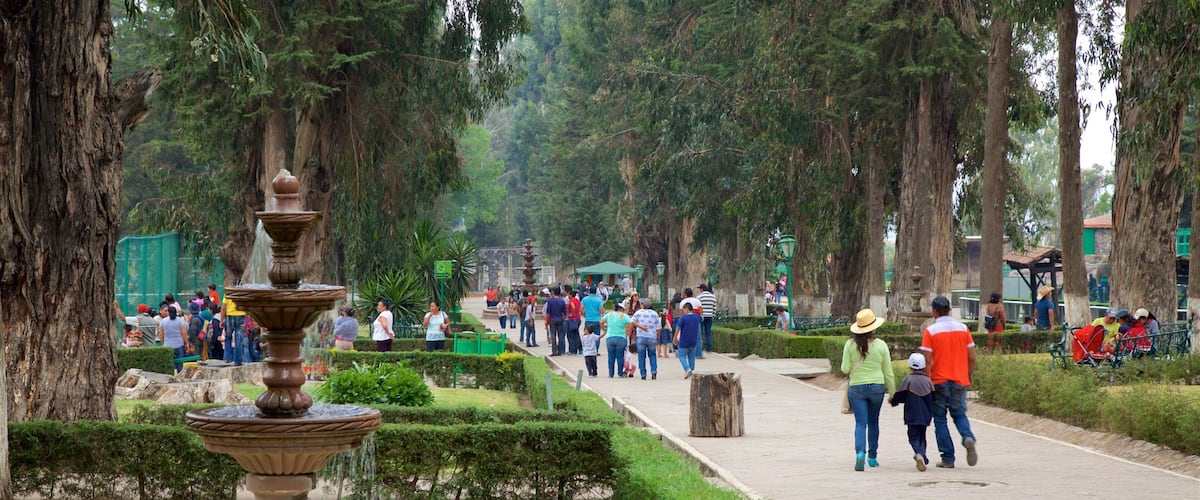 Zoológico de Zacango mostrando uma fonte e um jardim assim como um pequeno grupo de pessoas