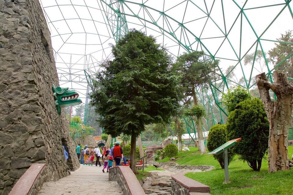 A stone pathway leading through a park with a large tree, a wooden sculpture, and a green metal structure.