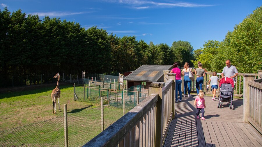 Blackpool Zoo featuring zoo animals and land animals as well as a family