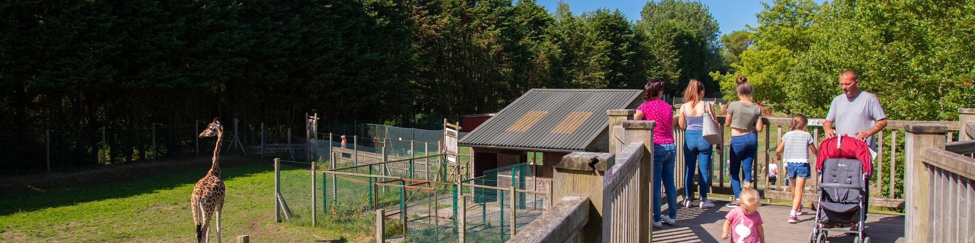 Blackpool Zoo featuring zoo animals and land animals as well as a family