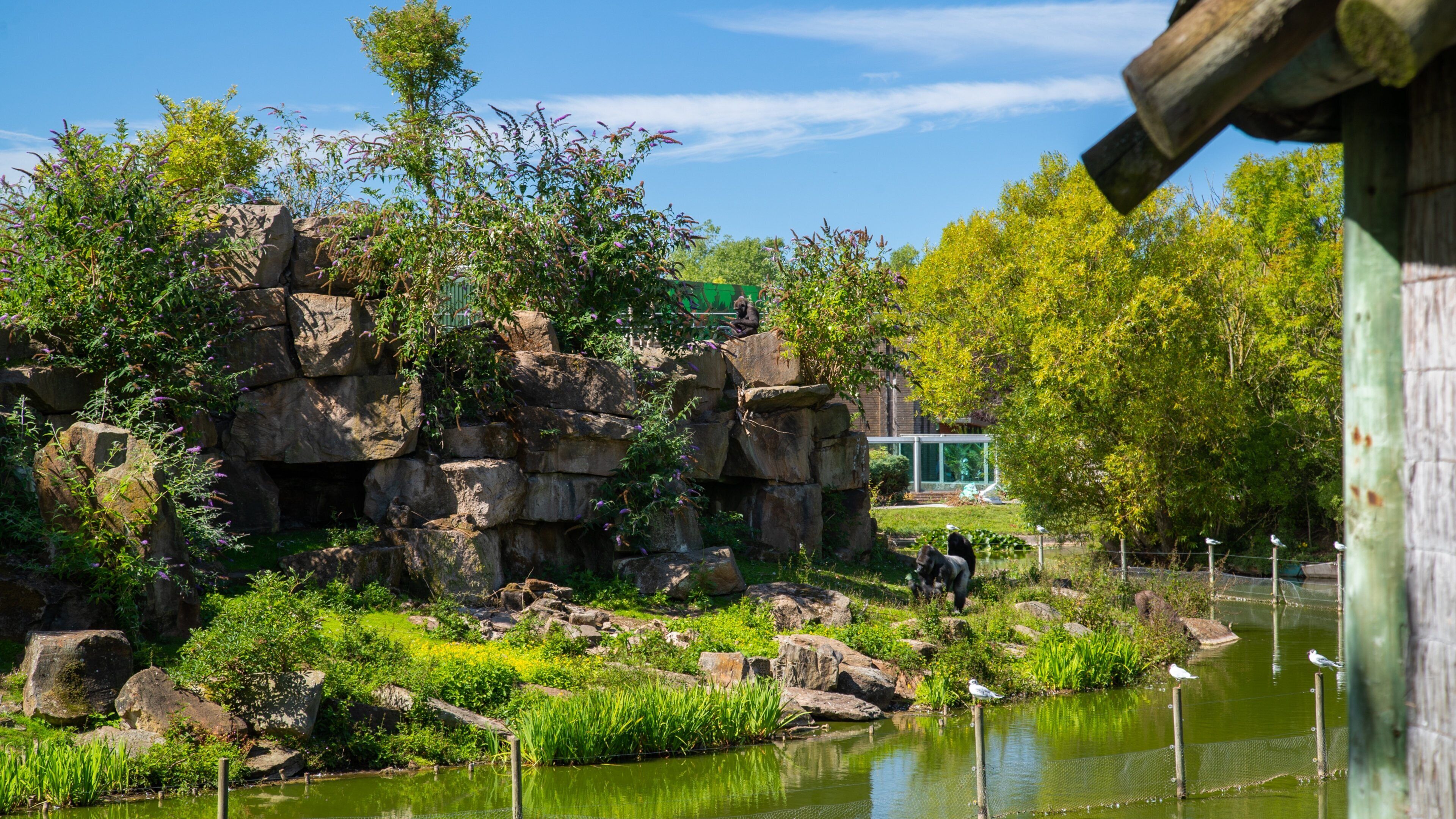 Blackpool Zoo featuring zoo animals