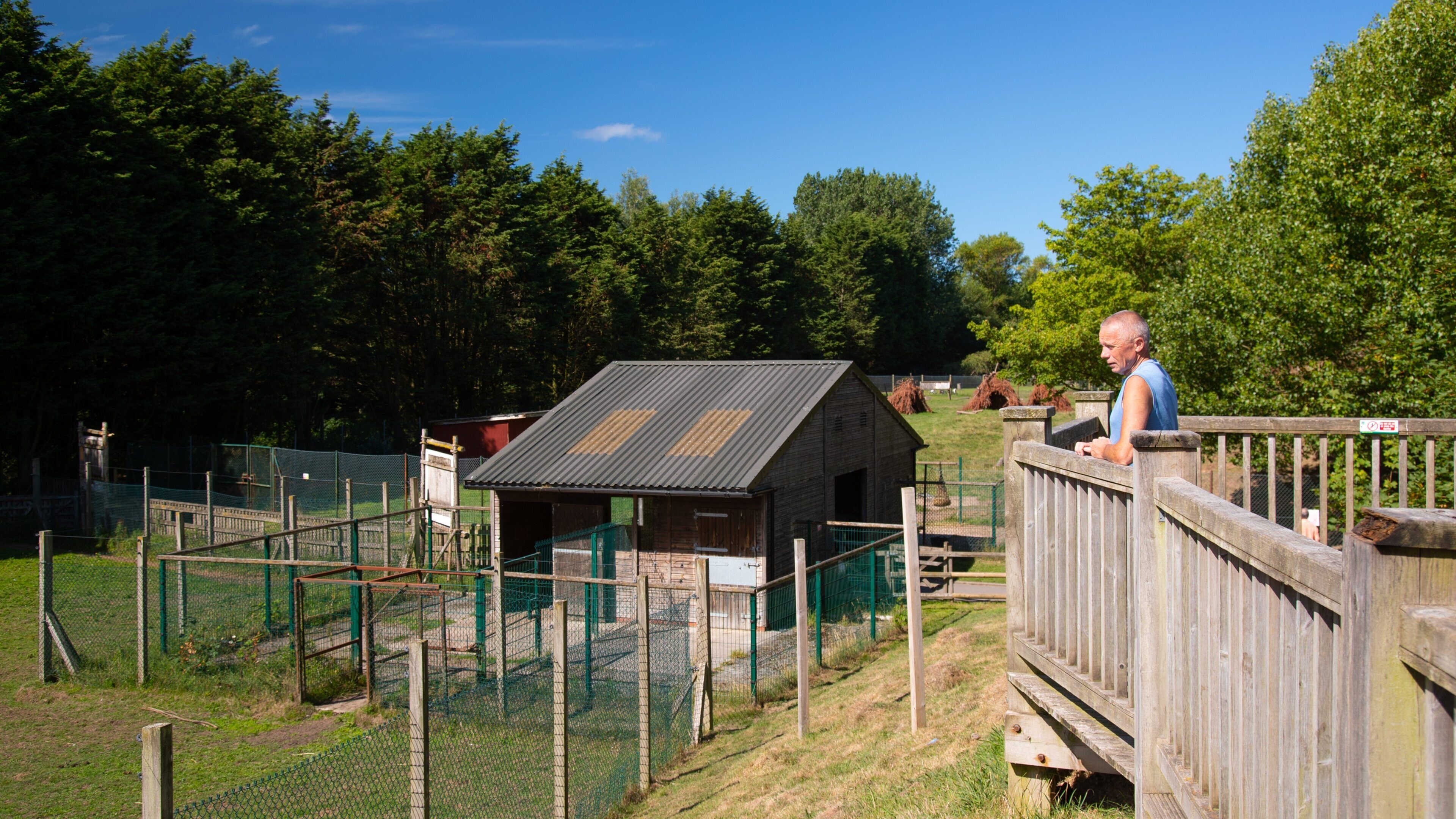 Blackpool Zoo as well as an individual male