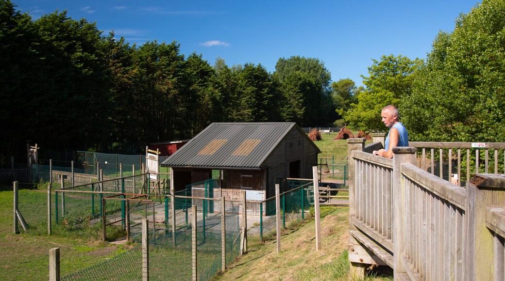 Blackpool Zoo as well as an individual male
