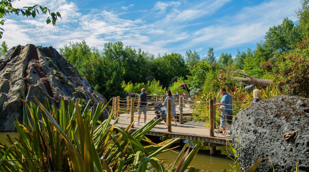 Blackpool Zoo which includes a pond as well as a small group of people