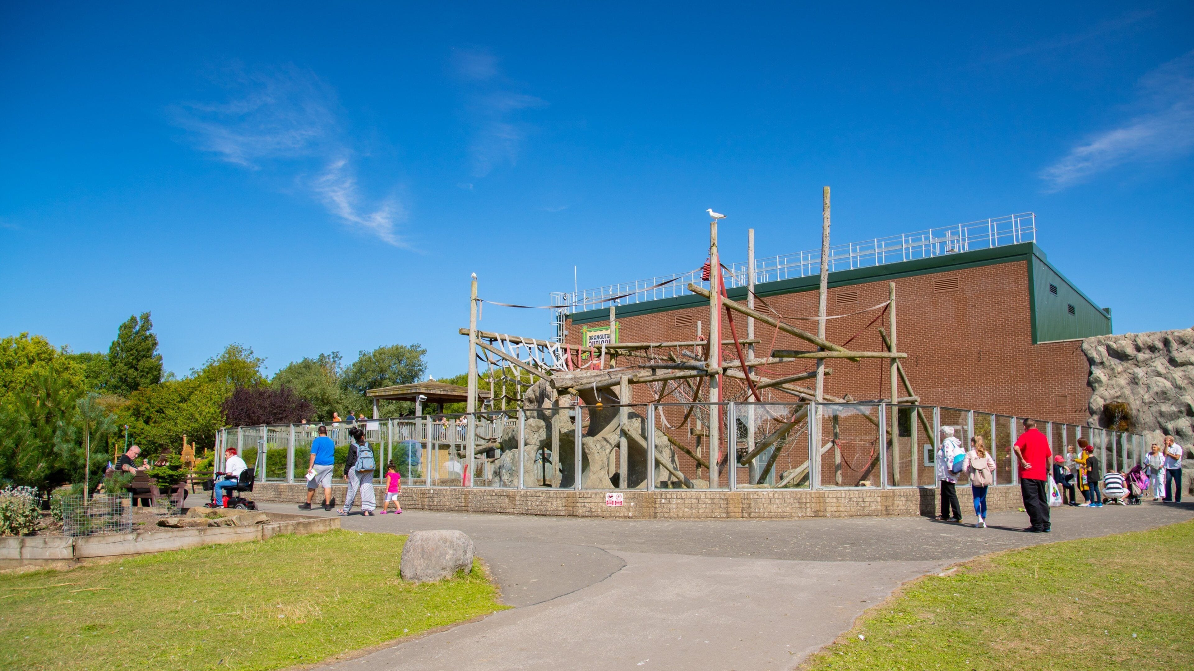 Blackpool Zoo which includes zoo animals