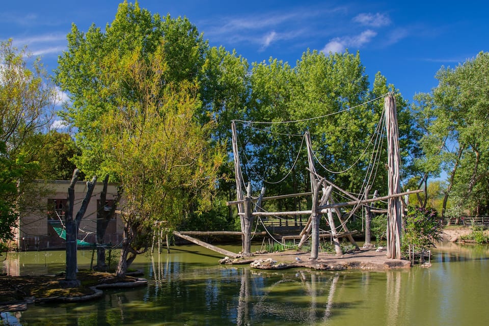 A wooden climbing structure over a pond surrounded by trees.