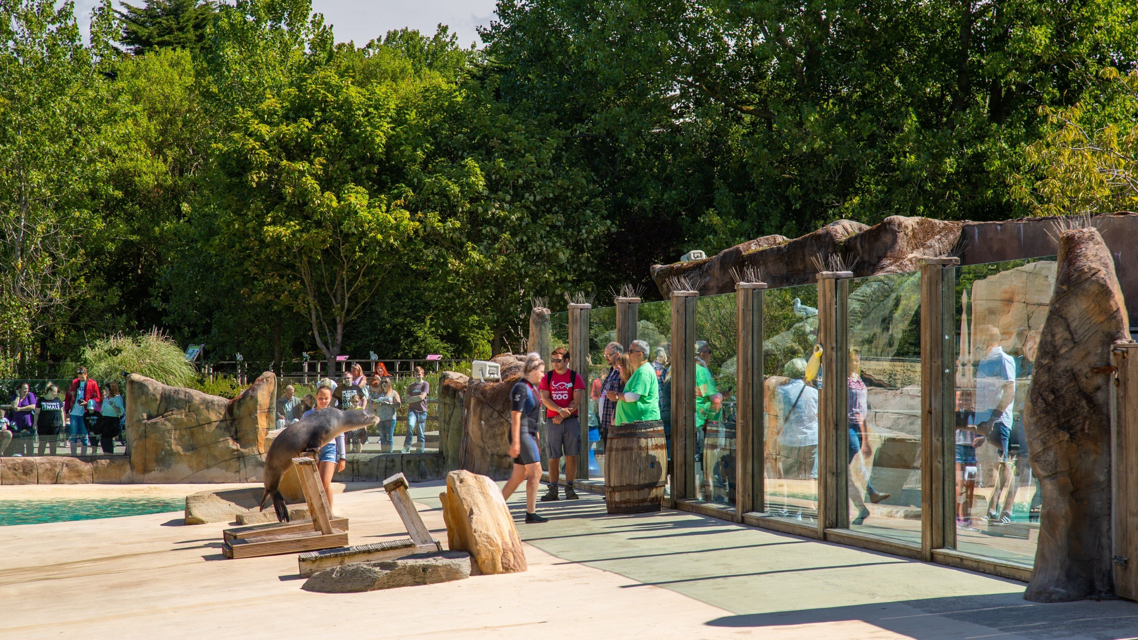 Blackpool Zoo showing zoo animals and marine life