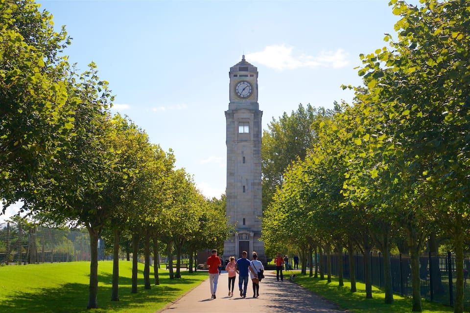 A pathway lined with trees leading to a clock tower.